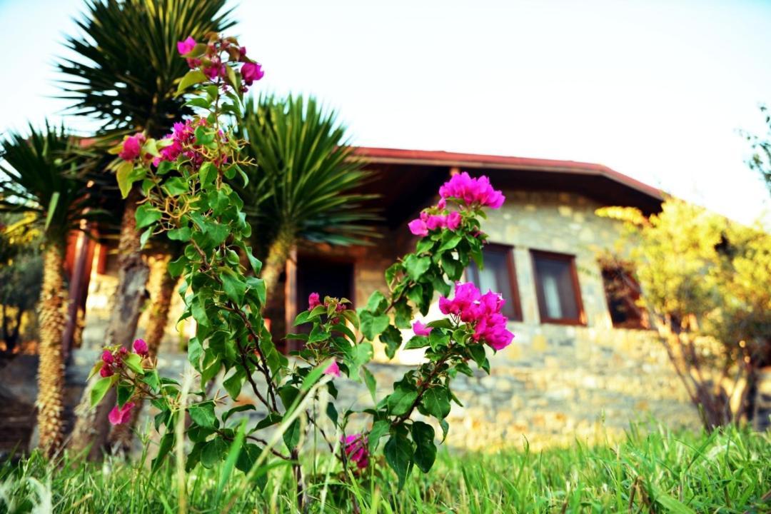 Pir Efes Konaklari Izmir Exterior foto
