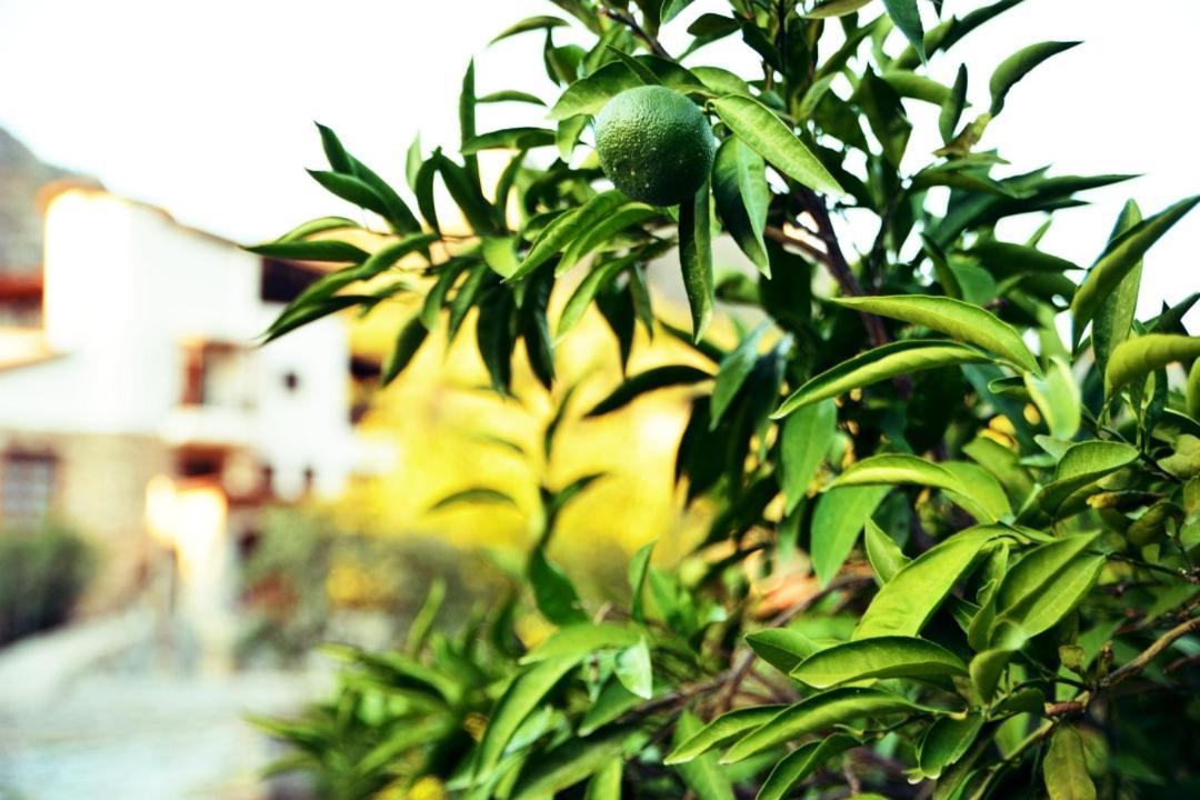 Pir Efes Konaklari Izmir Exterior foto