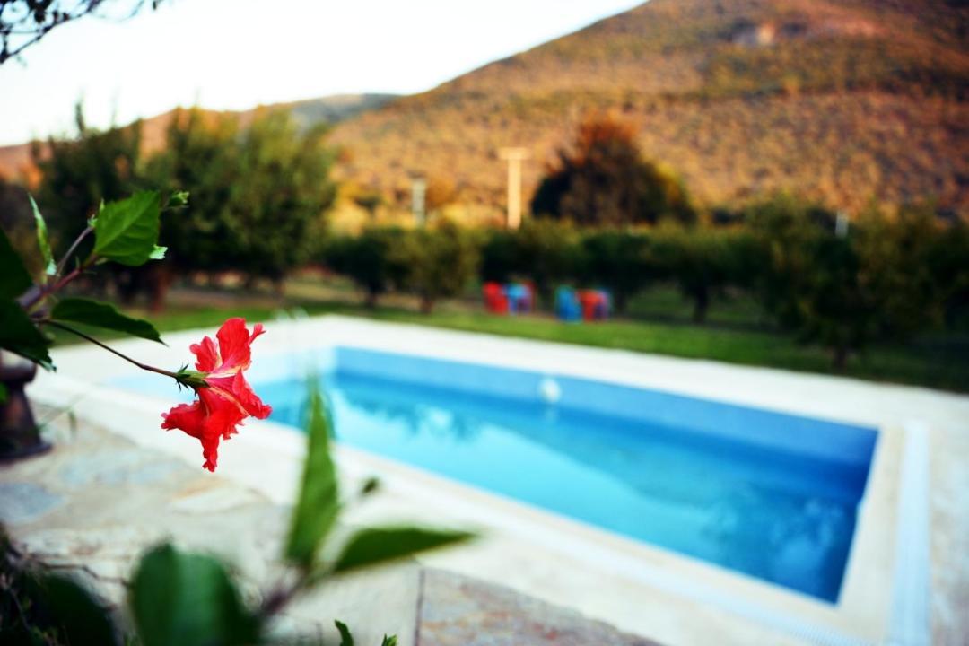 Pir Efes Konaklari Izmir Exterior foto